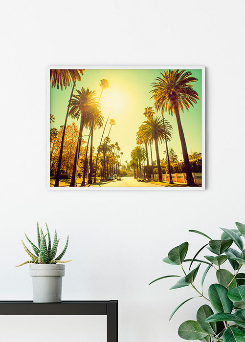 Wandbild - Palm Alley