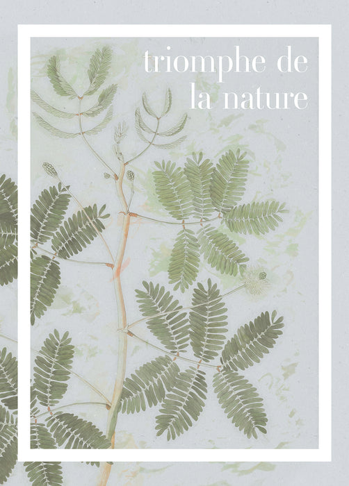 Wandbild | PLANT ART Triomphe de la nature