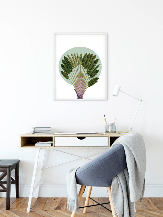 Wandbild | Botanical Garden Pinnate Palm