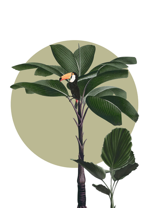 Komar NEU | Wandbild - Botanical Garden Palmtree