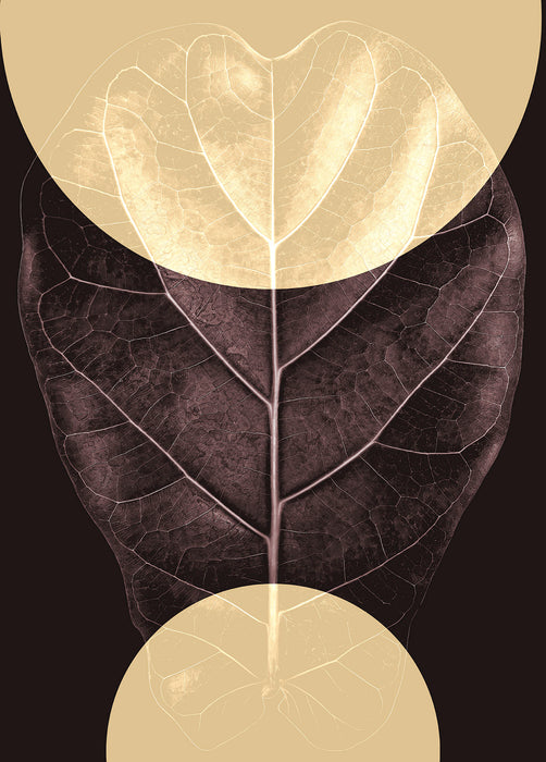 Komar NEU | Wandbild - Shadow Theatre