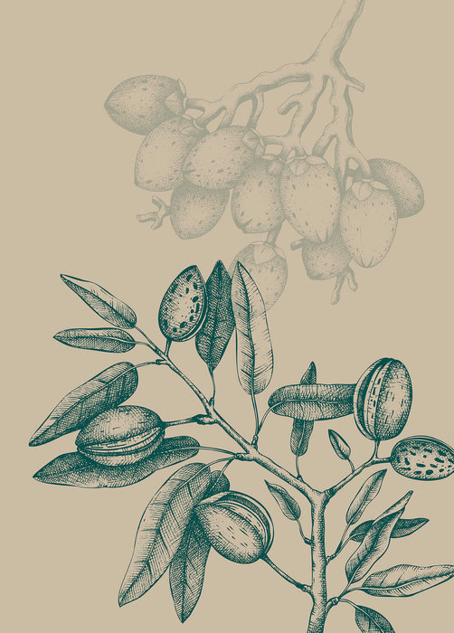 Komar NEU | Wandbild - Wild Mandolino