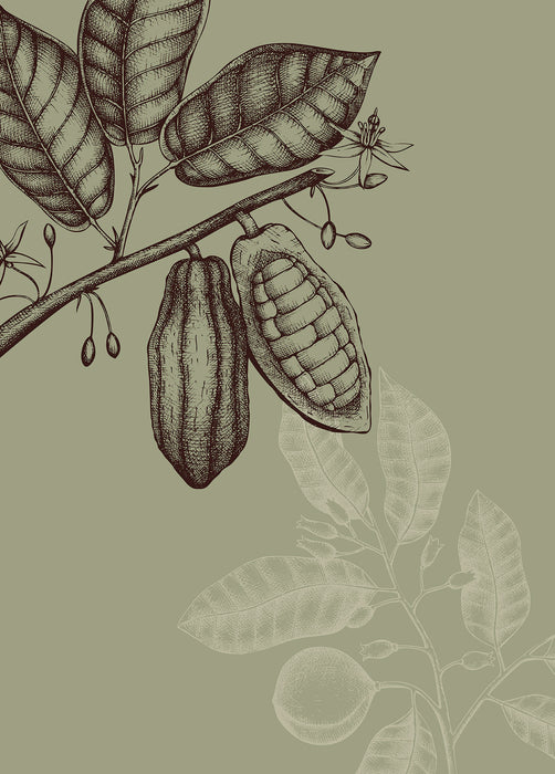 Wandbild | Wild Cocoa