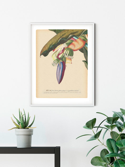 Wandbild | Banana Heart