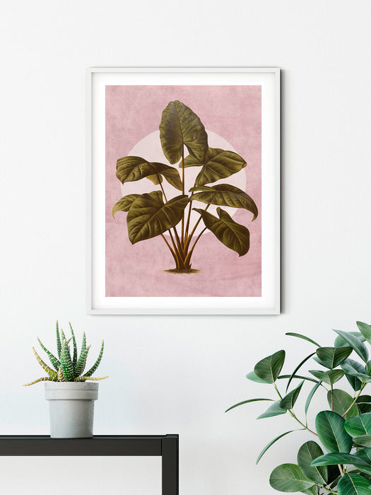 Wandbild | Créatures Végétales