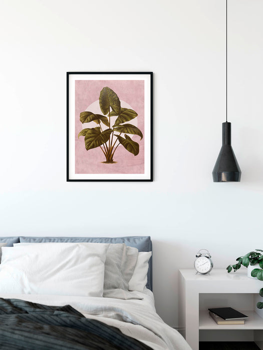 Wandbild | Créatures Végétales