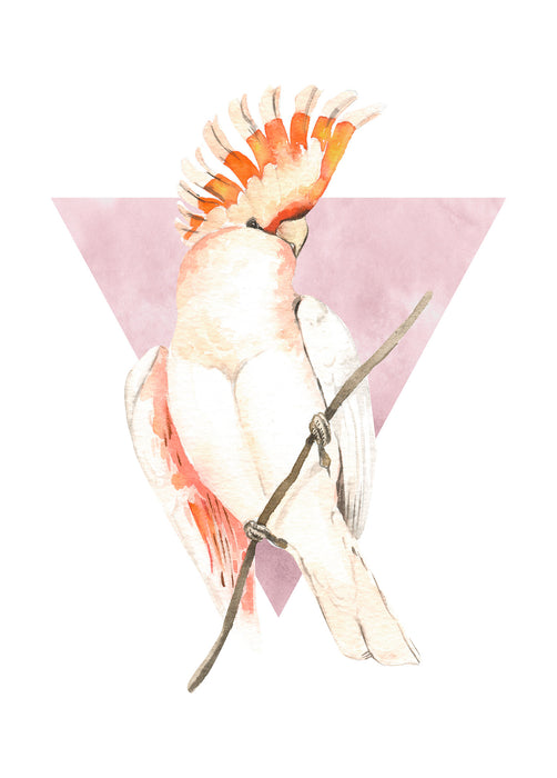 Wandbild | Cute Cacadoo