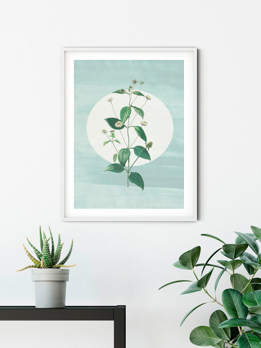 Wandbild | Faire Pousser des Fraises