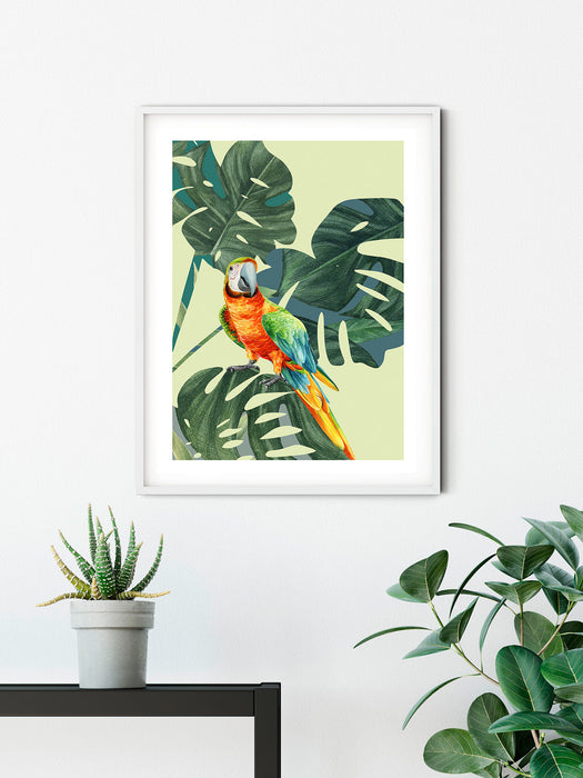 Wandbild | Green | Winged Macaw