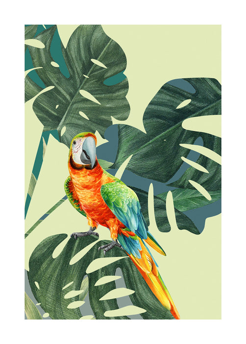 Komar NEU | Wandbild - Green-Winged Macaw