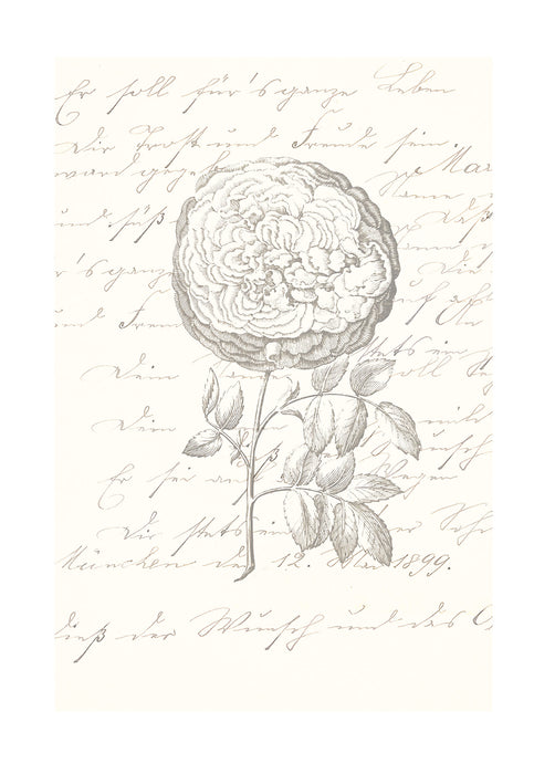 Wandbild | Ma Chérie