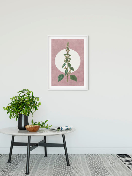 Wandbild | Menthe en Croissance