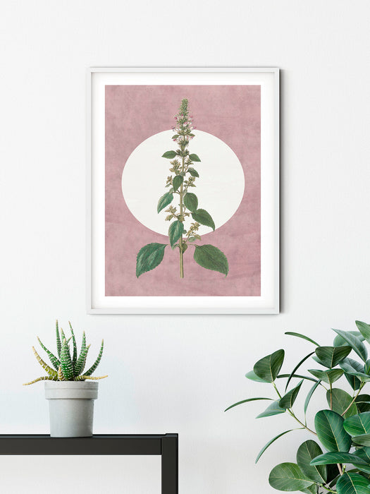 Wandbild | Menthe en Croissance
