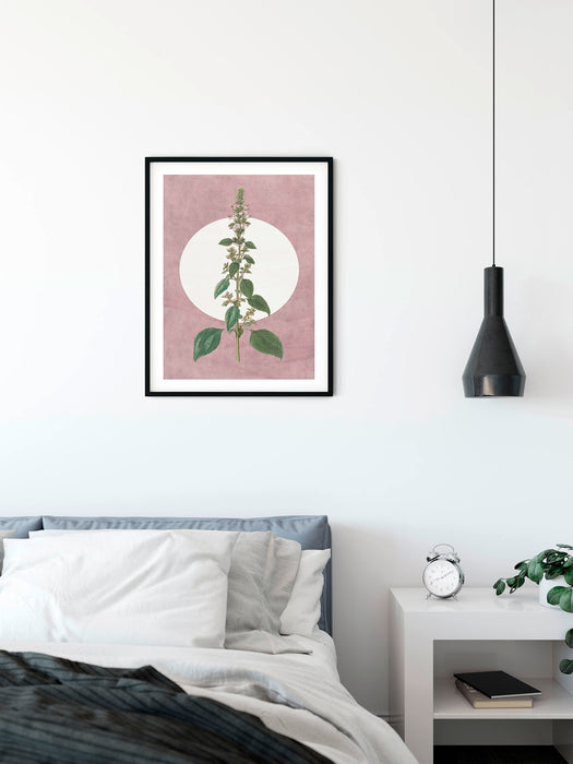 Wandbild | Menthe en Croissance