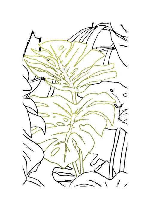 Komar NEU | Wandbild - Monstera Borsigiana