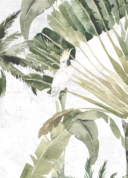 Komar NEU | Wandbild - Oiseau Cacadoo