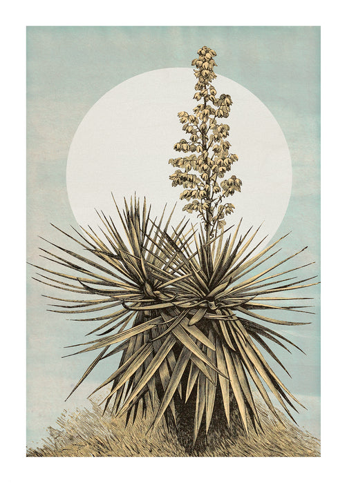 Komar NEU | Wandbild - Plans de Lagon