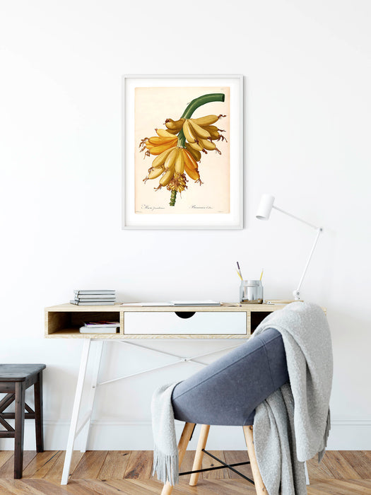 Wandbild | Plantains