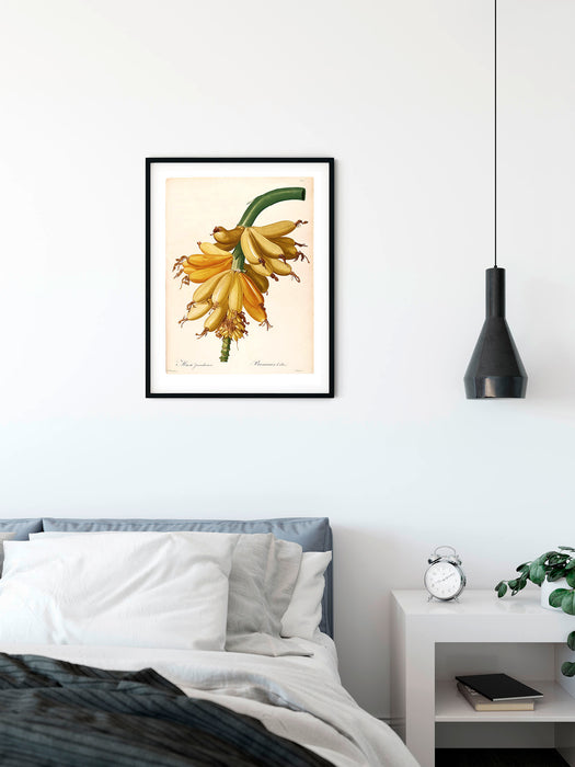 Wandbild | Plantains