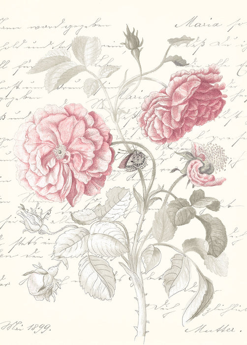 Wandbild | Poème Rose