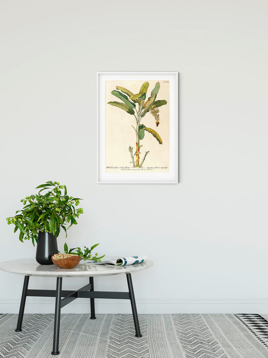 Wandbild | Rainforest Sapling