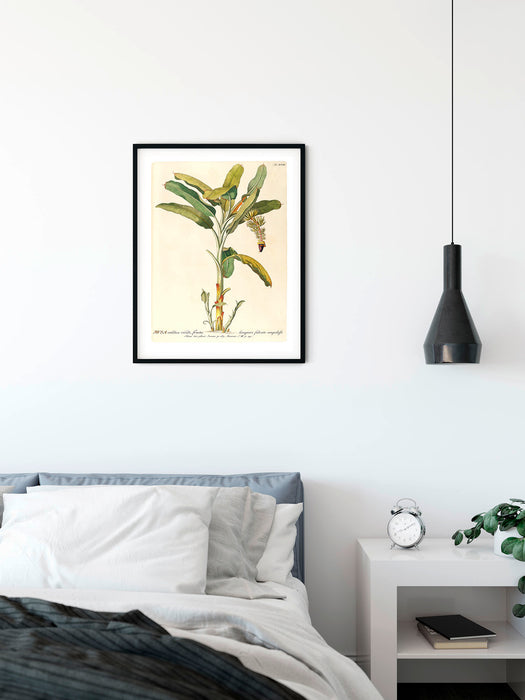 Wandbild | Rainforest Sapling