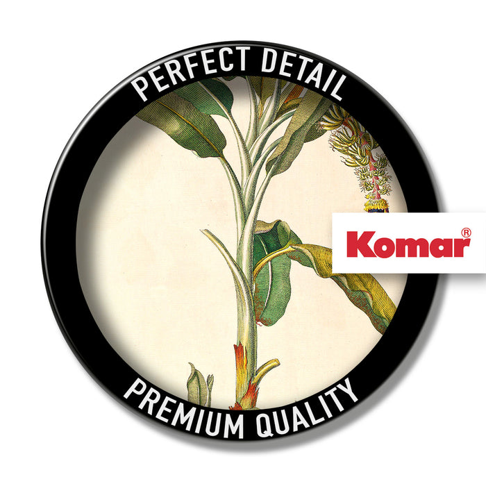 Wandbild | Rainforest Sapling