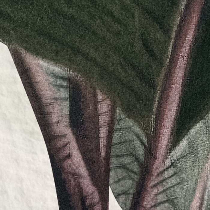 Komar NEU | Digitaldruck Vlies Fototapete - Jungle Spot - Größe 400 x 250 cm