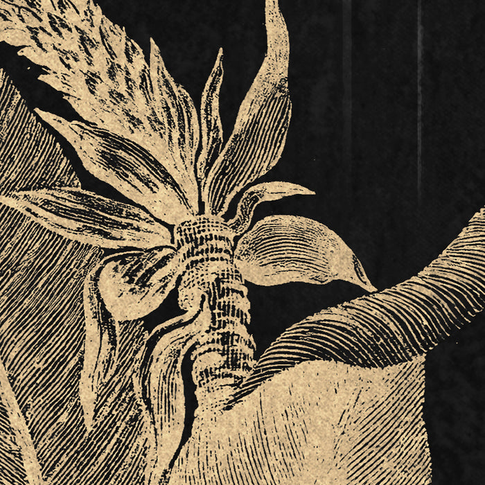 Komar NEU | Digitaldruck Vlies Fototapete - En Detail - Größe 200 x 250 cm