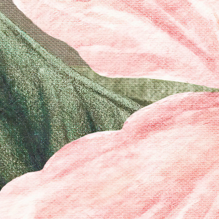 Digitaldruck Vlies Fototapete | Large Bloomed | 200 x 250 cm