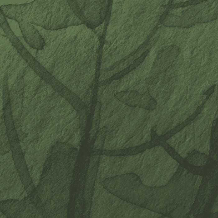 Digitaldruck Vlies Fototapete | Botanic Harmony | 500 x 250 cm