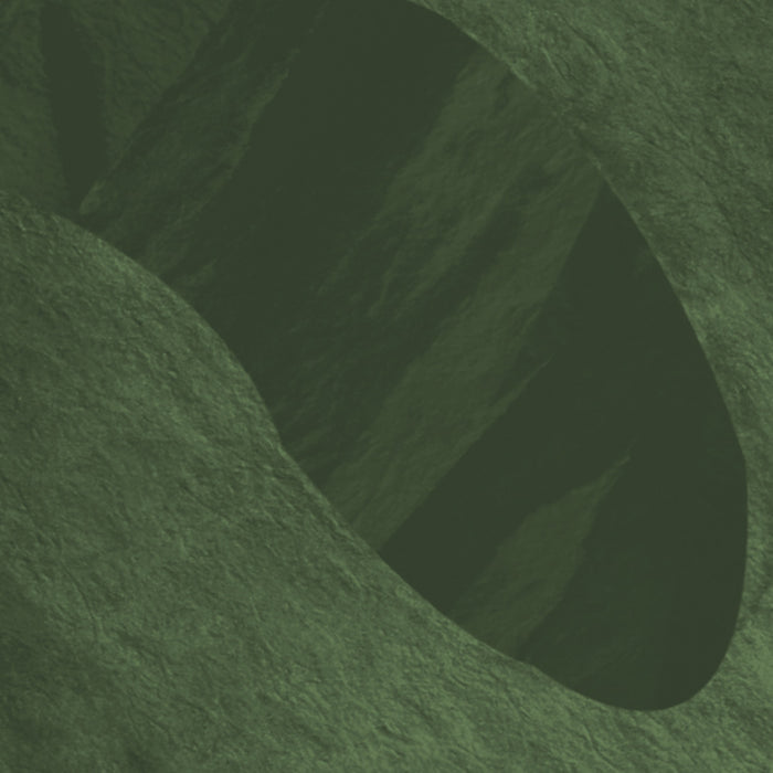 Komar NEU | Digitaldruck Vlies Fototapete - Botanic Harmony - Größe 500 x 250 cm