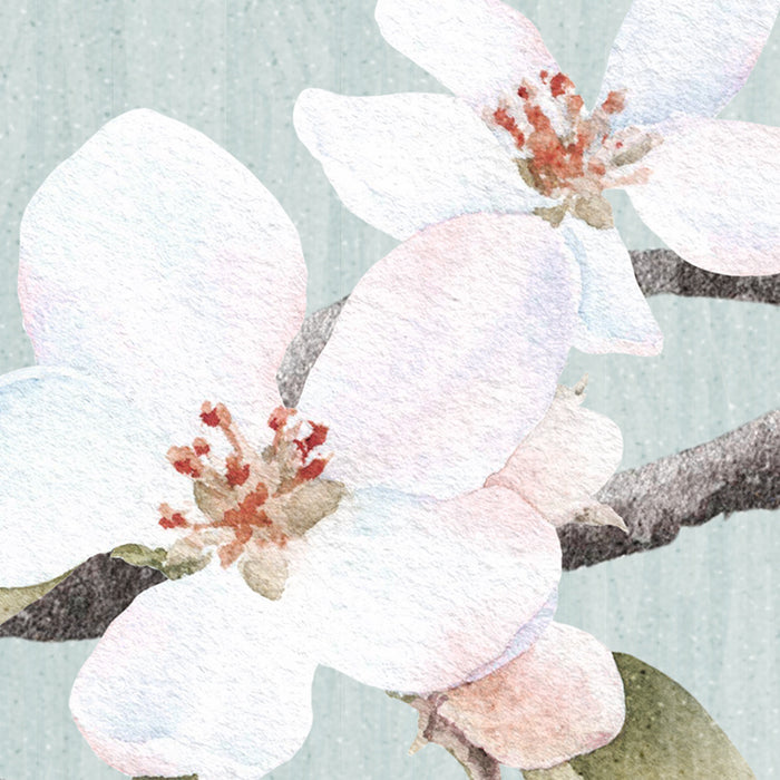 Digitaldruck Vlies Fototapete | Apple Blossom | 300 x 250 cm