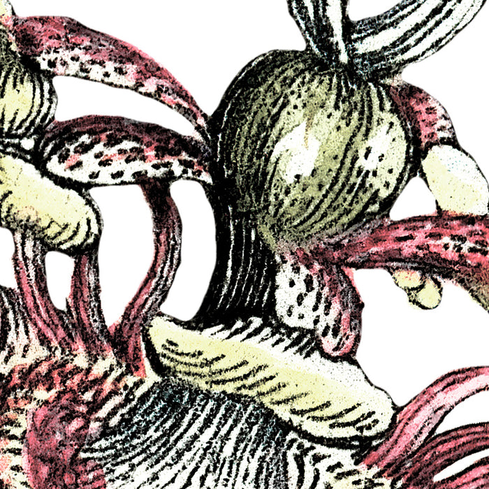 Komar NEU | Digitaldruck Vlies Fototapete - Paradis de Papillons - Größe 400 x 250 cm