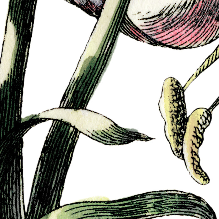 Komar NEU | Digitaldruck Vlies Fototapete - Paradis de Papillons - Größe 400 x 250 cm