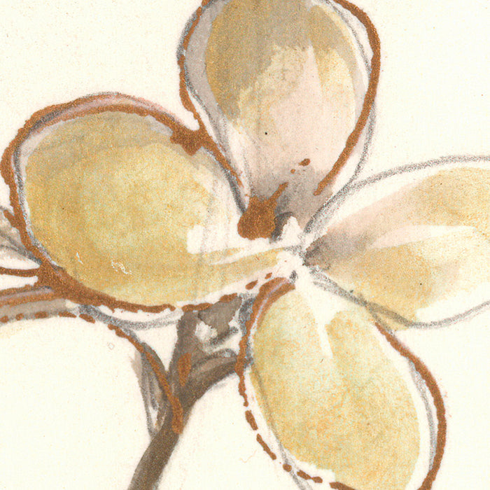 Komar NEU | Digitaldruck Vlies Fototapete - Vintage Chrysanthemum - Größe 200 x 250 cm