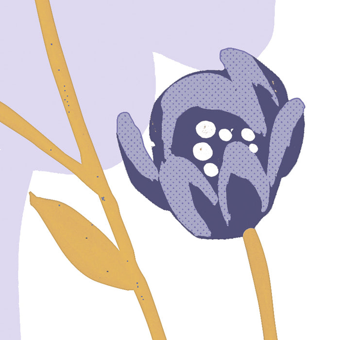 Komar NEU | Digitaldruck Vlies Fototapete - Bloomique - Größe 400 x 250 cm