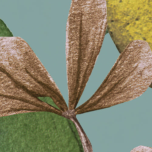 Digitaldruck Vlies Fototapete | Bellezza | 300 x 250 cm