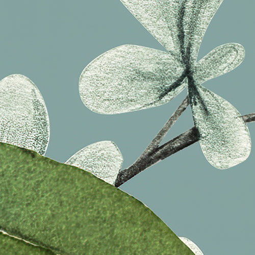 Komar NEU | Digitaldruck Vlies Fototapete - Bellezza - Größe 300 x 250 cm