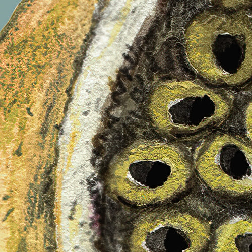 Komar NEU | Digitaldruck Vlies Fototapete - Bellezza - Größe 300 x 250 cm