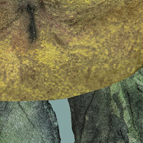 Komar NEU | Digitaldruck Vlies Fototapete - Bellezza - Größe 300 x 250 cm