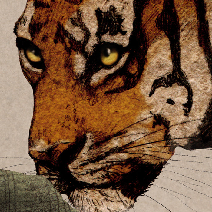 Komar NEU | Digitaldruck Vlies Fototapete - Tiger Jungle - Größe 400 x 250 cm