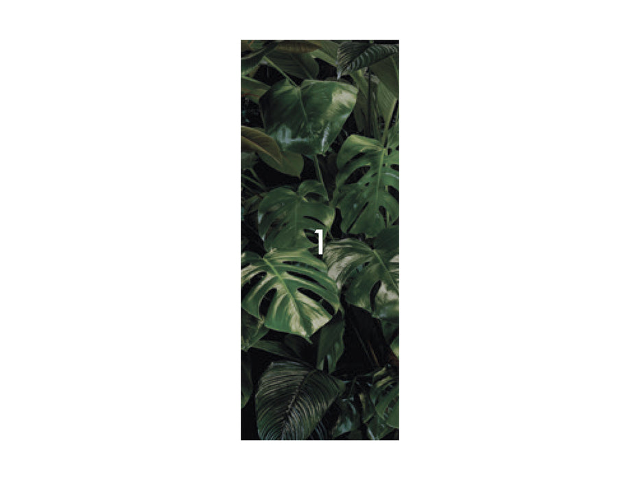 Digitaldruck Vlies Fototapete | Tropical Wall Panel | 100 x 250 cm
