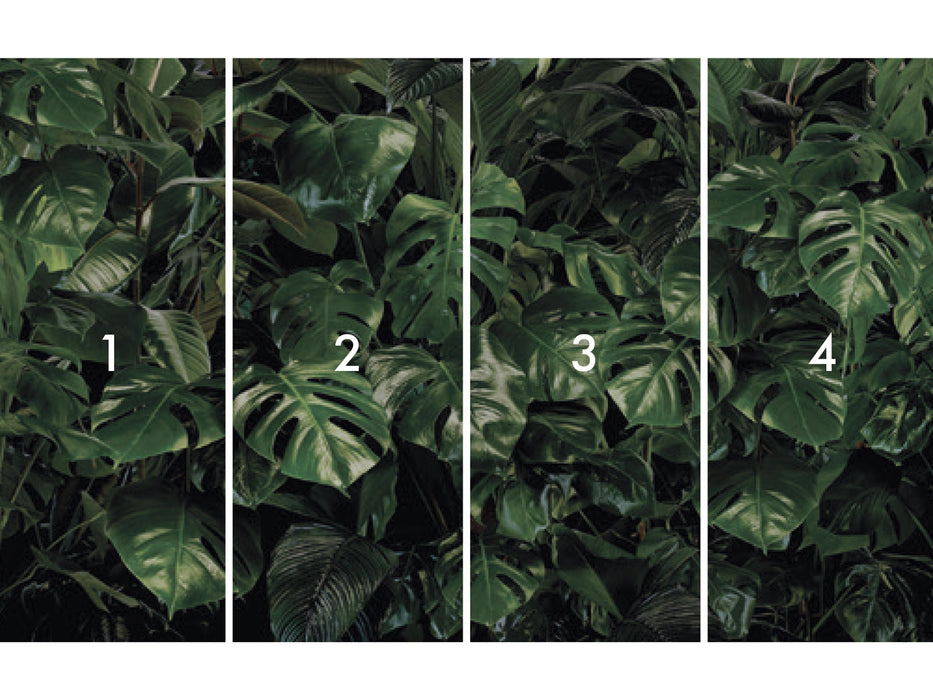 Digitaldruck Vlies Fototapete | Tropical Wall | 400 x 250 cm