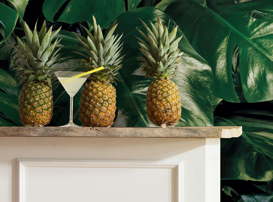 Digitaldruck Vlies Fototapete | Tropical Wall | 400 x 250 cm