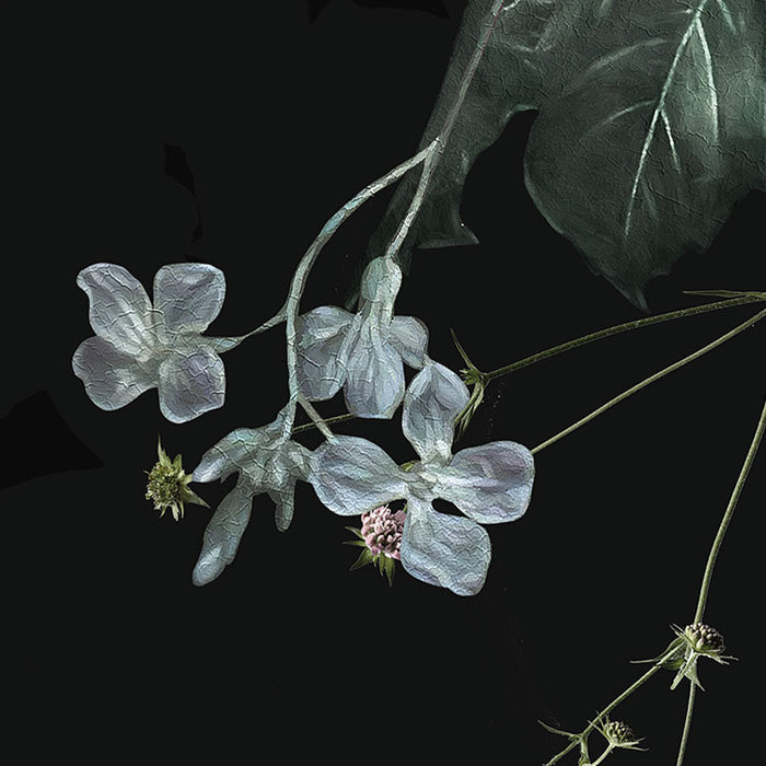 Digitaldruck Vlies Fototapete | Charming | 200 x 250 cm
