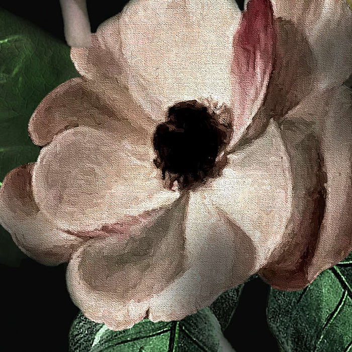 Digitaldruck Vlies Fototapete | Victoria Black | 400 x 250 cm