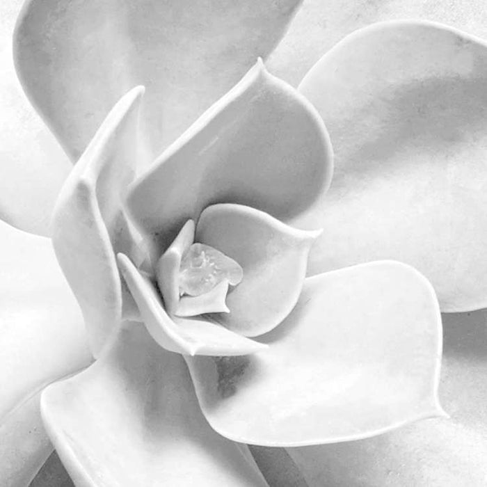 Komar NEU | Digitaldruck Vlies Fototapete - Shades Black and White - Größe 400 x 250 cm