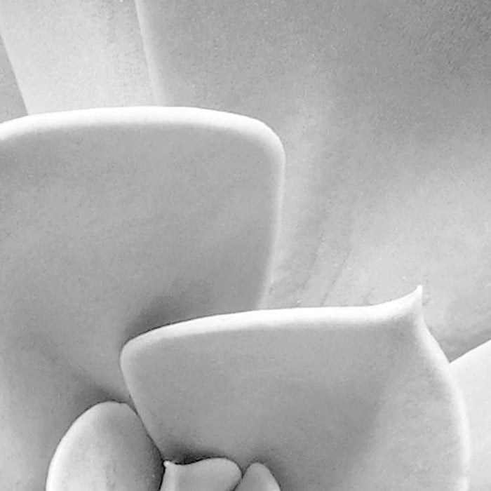 Digitaldruck Vlies Fototapete | Shades Black and White | 400 x 250 cm