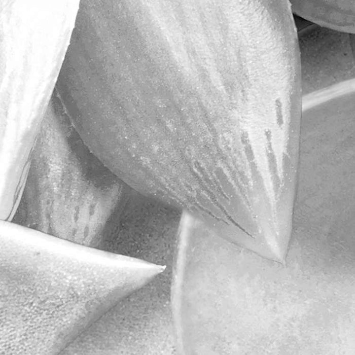 Komar NEU | Digitaldruck Vlies Fototapete - Shades Black and White - Größe 400 x 250 cm